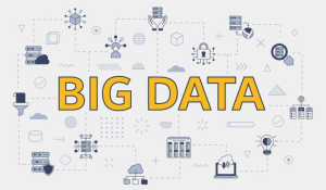 The Role of Big Data in Modern Business Activity